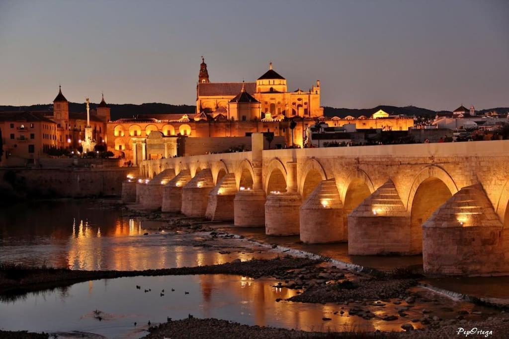 Apartamento Loft Al-Nasir Junto Al Casco Historico Córdoba Exteriör bild